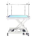 Pedigroom Light Up Electric Dog Grooming Table